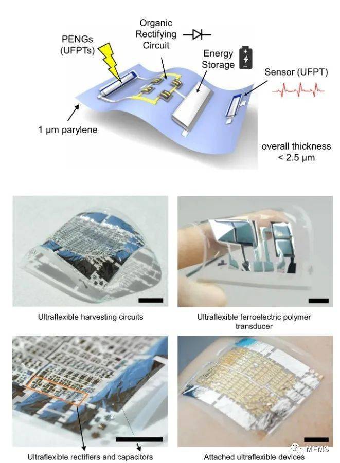 下一代可穿戴设备的福音超柔性压电能量收集传感器贴片
