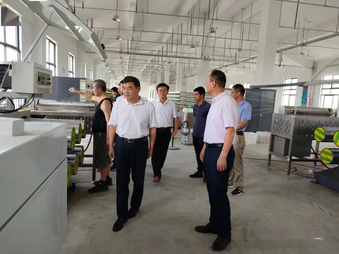 巢湖市人大常委会主任周恩平来槐林镇走访调研