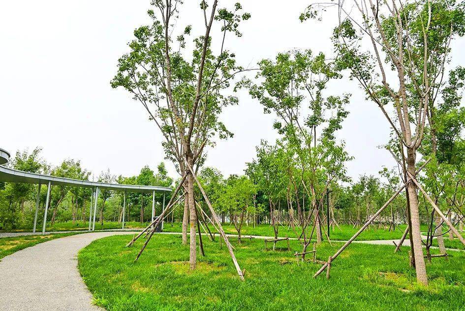 北京这处郊野公园,能赏景能游乐,休闲健身全齐,真不错_霍营