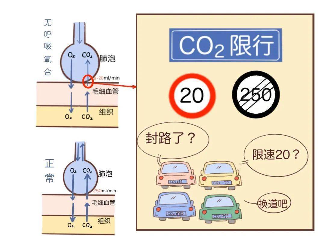 刷新认知呼吸暂停65分钟患者氧饱和度还大于90