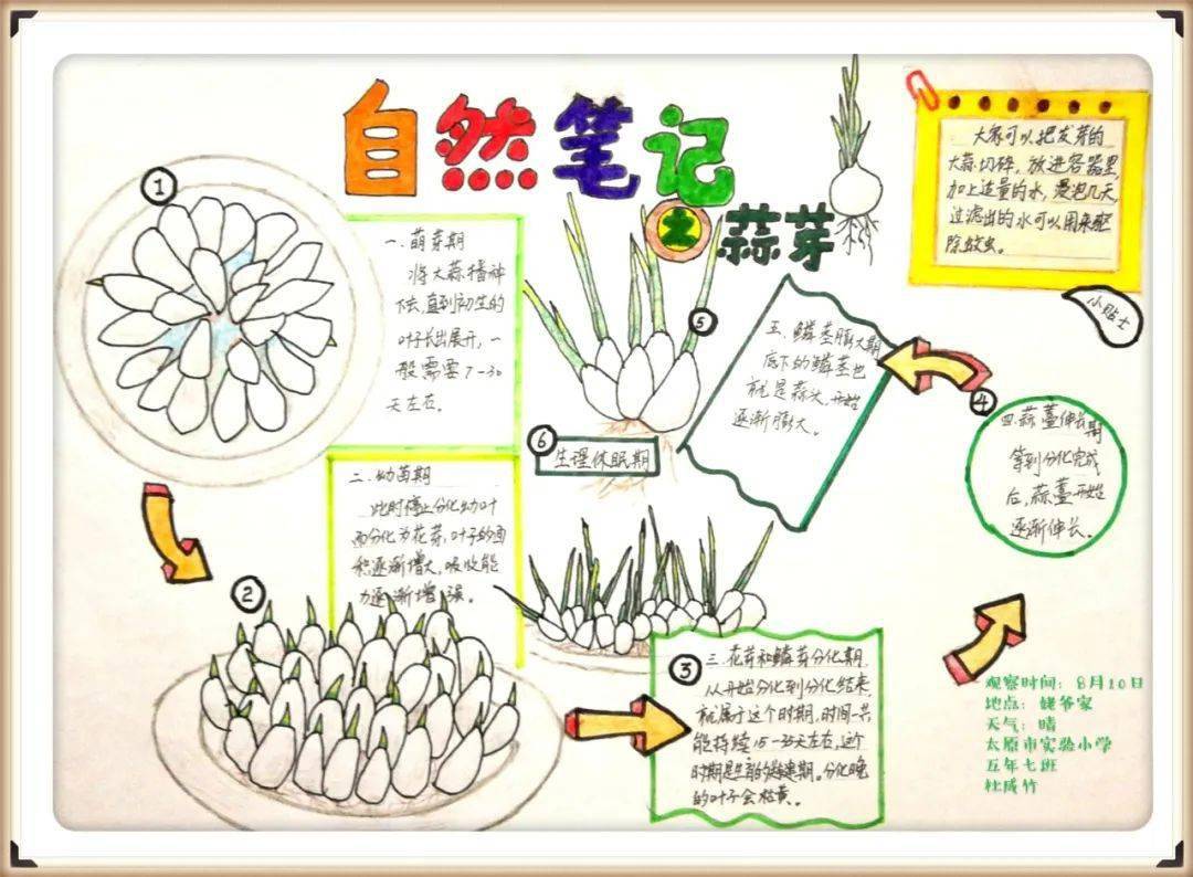 生物多样性看山西自然笔记大赛作品展六