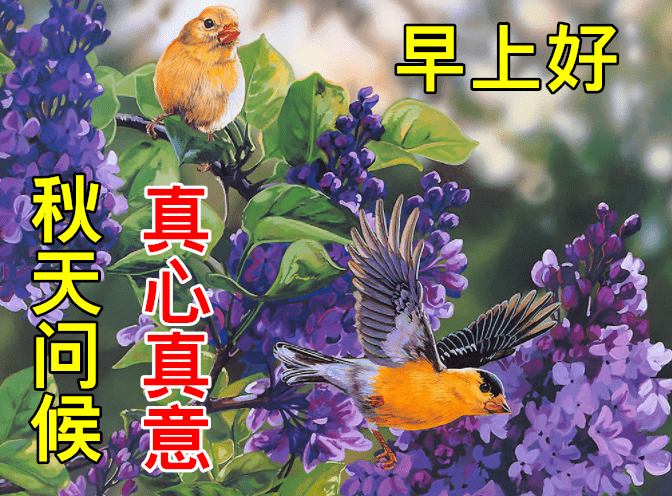 8月31日早上好动态表情图片大全,早晨好动图美图大全