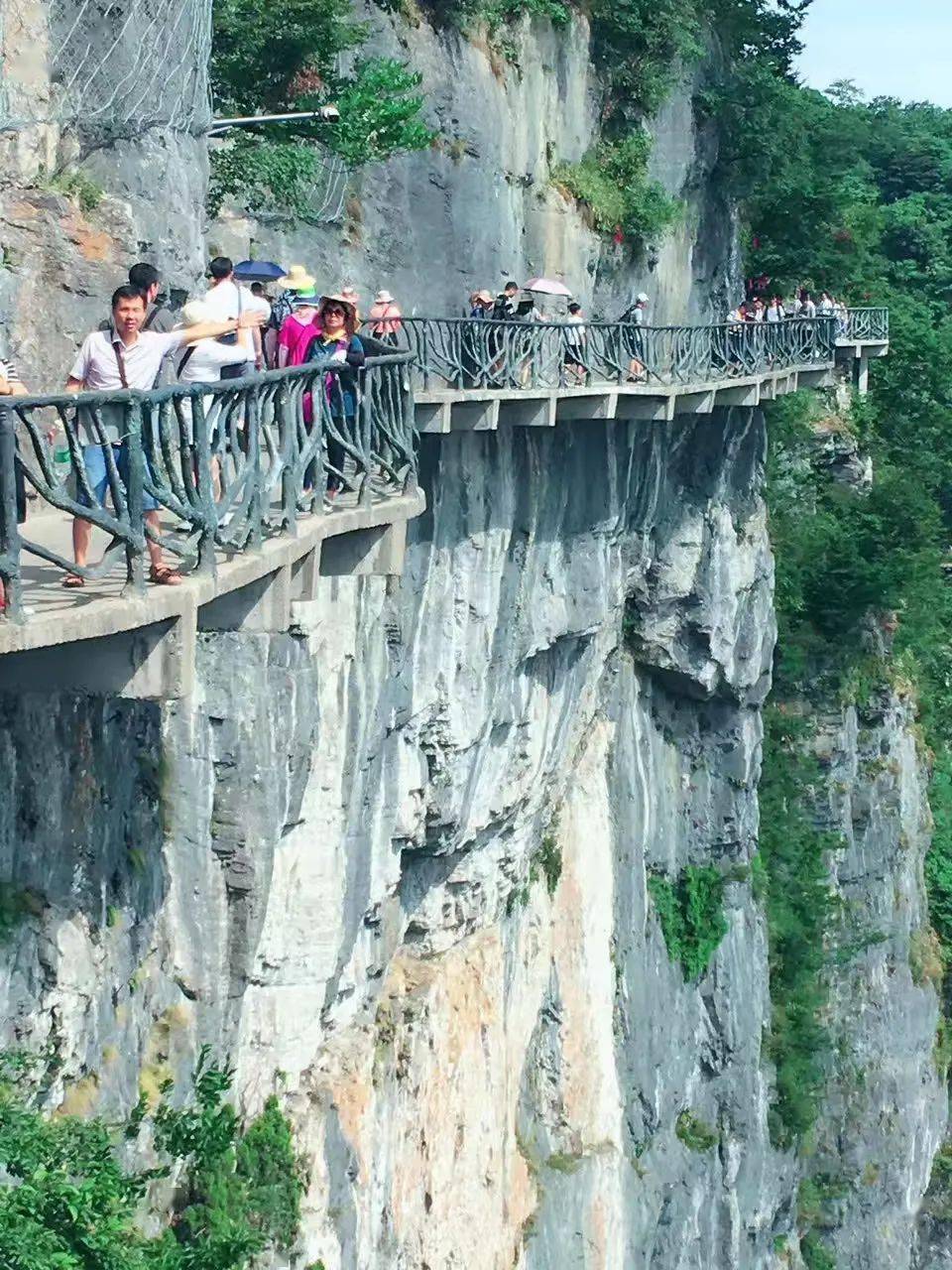 13-15|户外深度张家界全景,探秘天门山洞,天子山,杨家界乌龙寨,袁家界