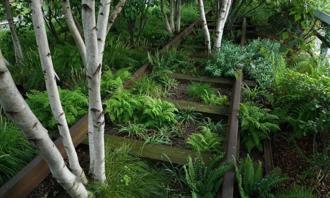 人造的荒野高线公园的自然式种植设计