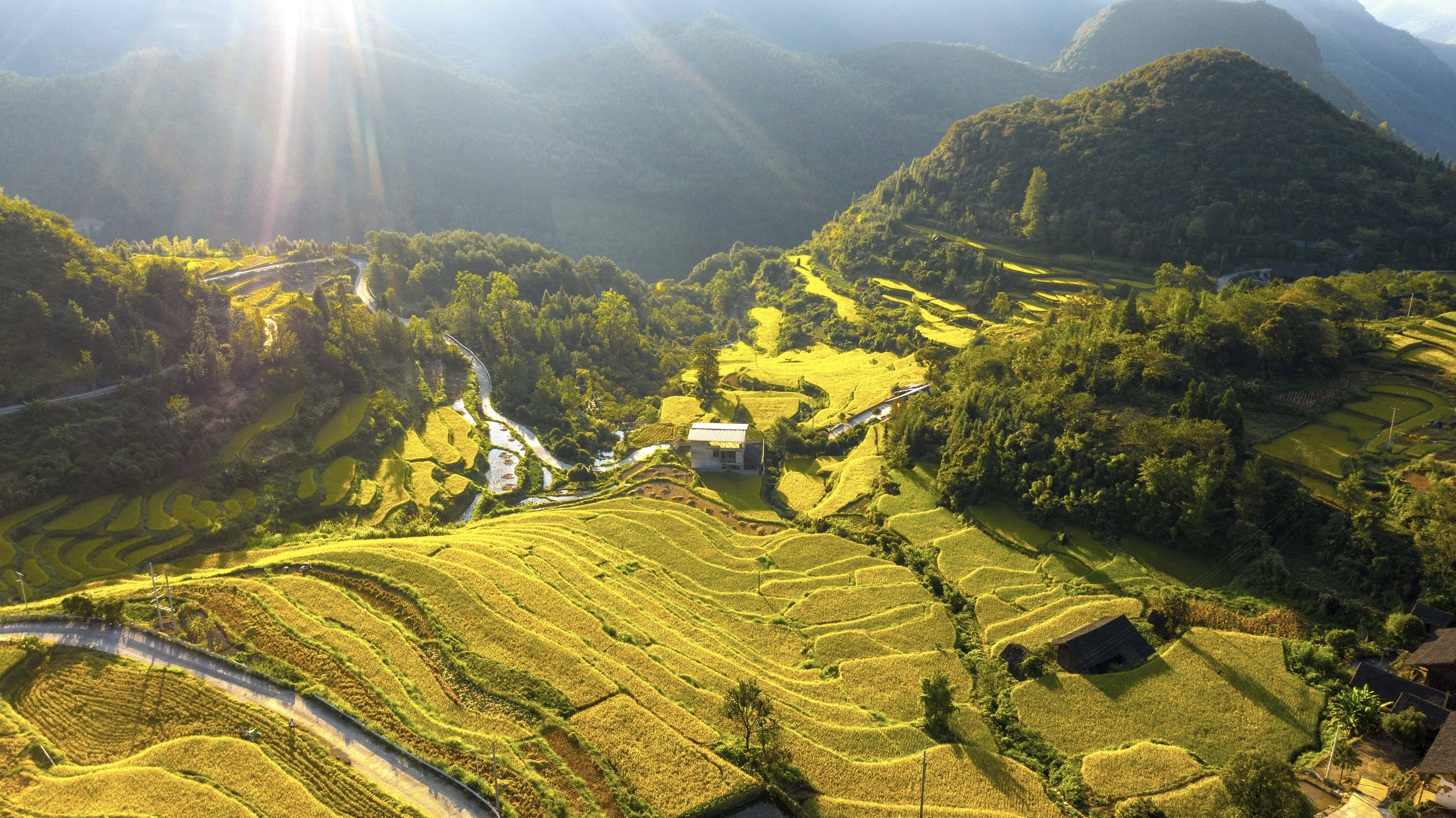 湖南东安:山村梯田丰收在望