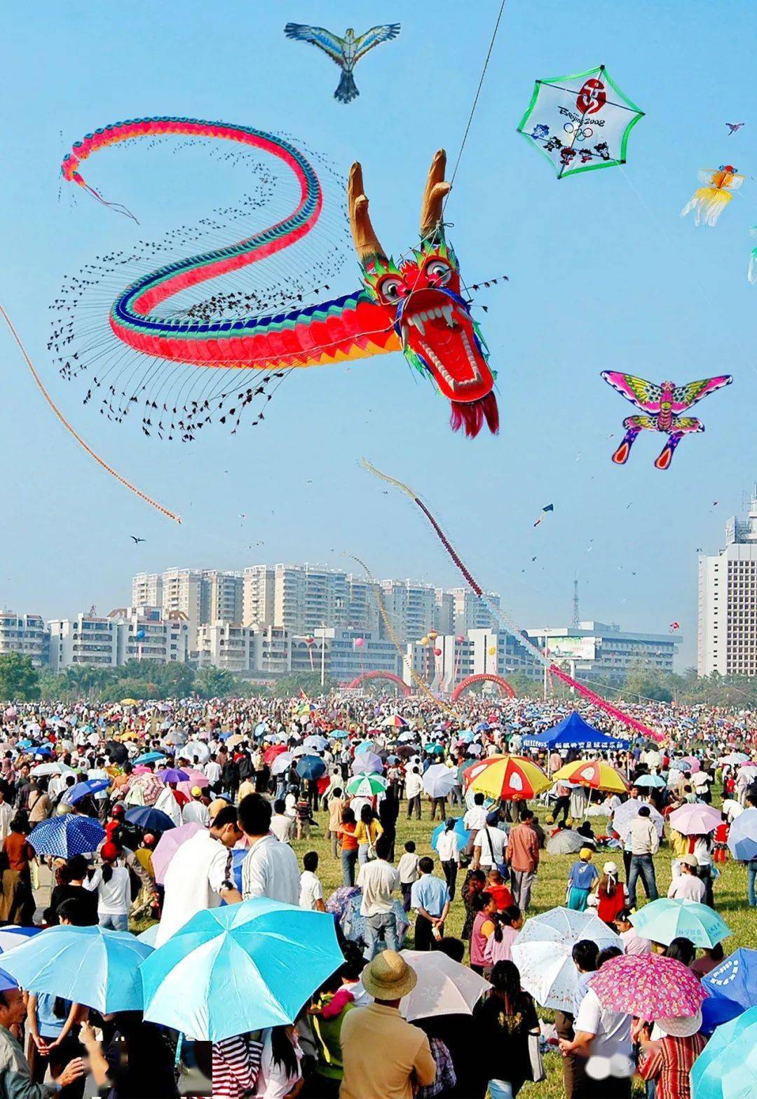 风筝 阳江风筝是中国风筝"南鹞北鸢"中"南鹞"的典型代表,于2006年被