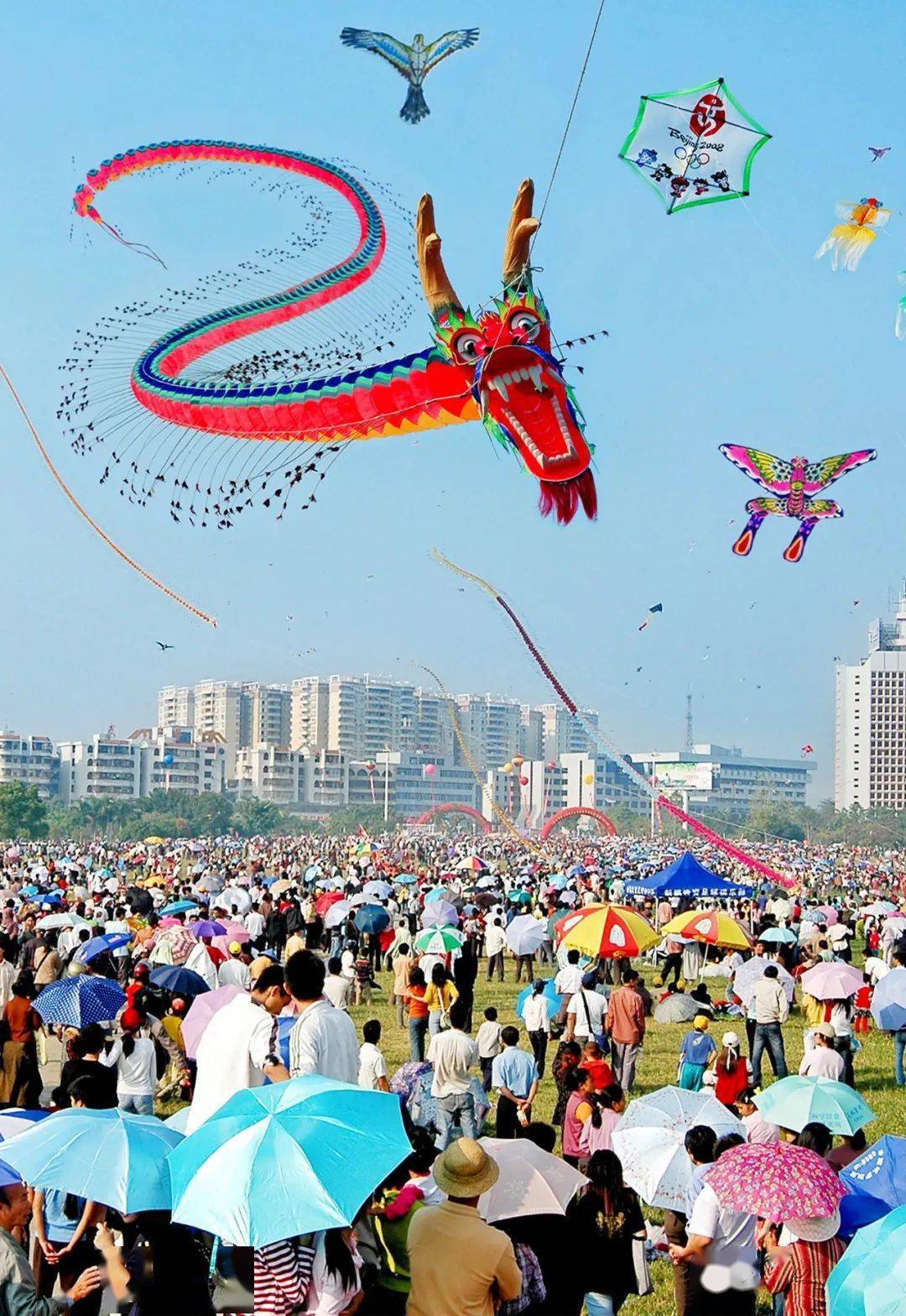 广东省民间文化艺术之乡,阳江一地上榜!