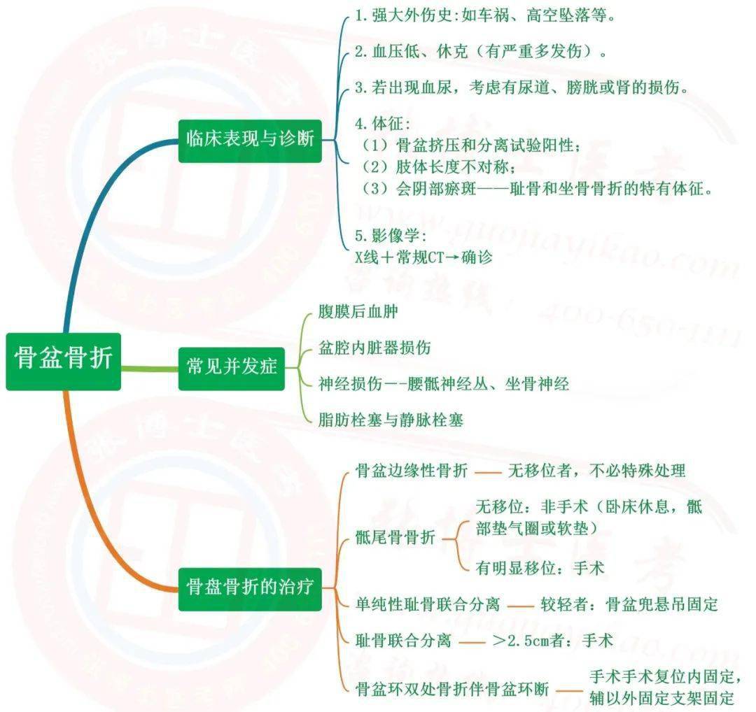 临床运动系统思维导图