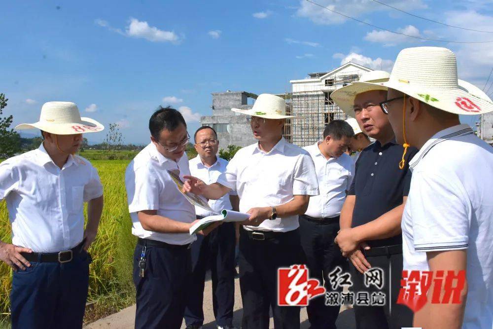 9月4日下午,县委副书记,县长杨廉喜带队现场调研交通重点建设项目.