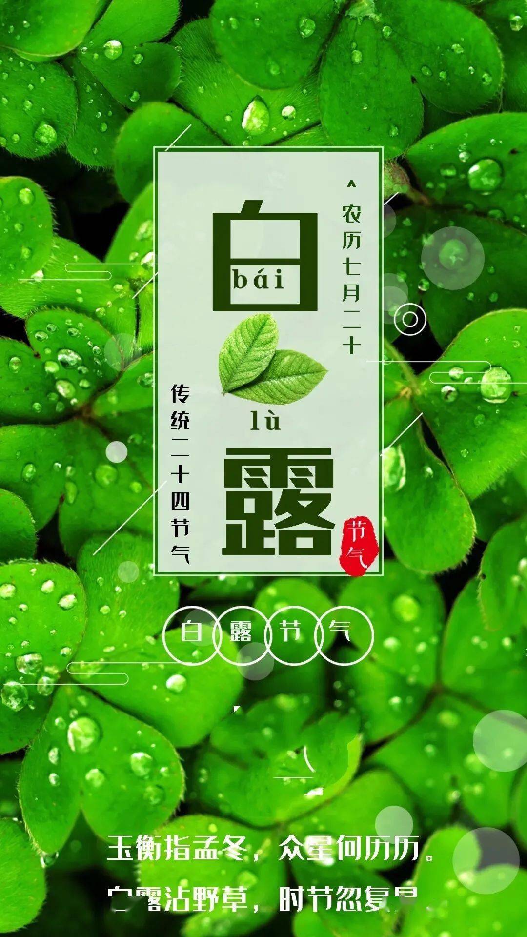 白露早安祝福语图片带字最新白露祝福签名