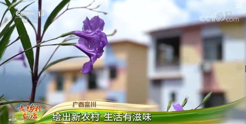 虎头|走进乡村看小康 | 广西富川：绘出新农村 生活有滋味