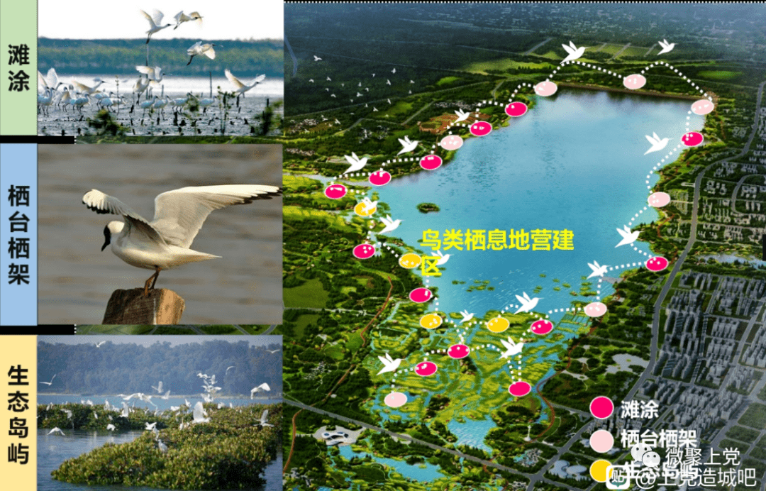 长治滨湖新区整体规划曝光!