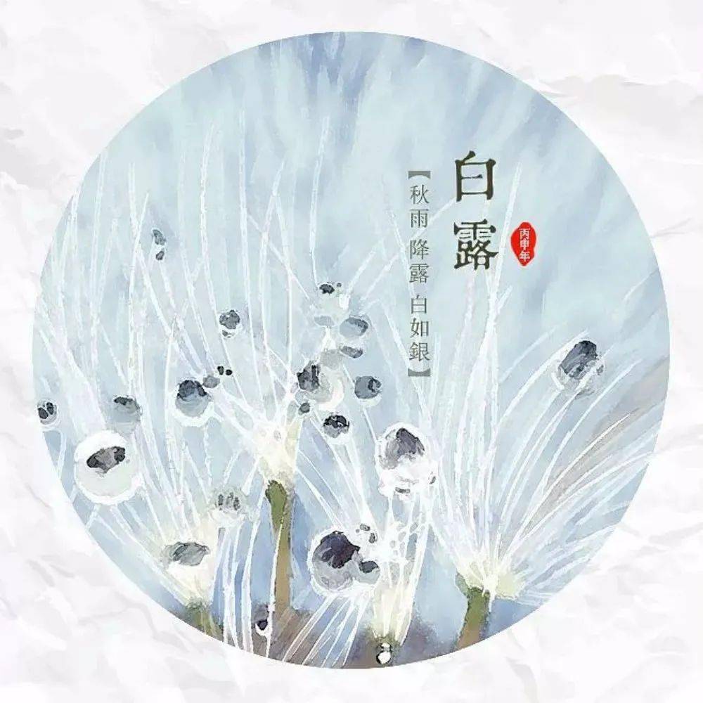 丹阳即将._白露