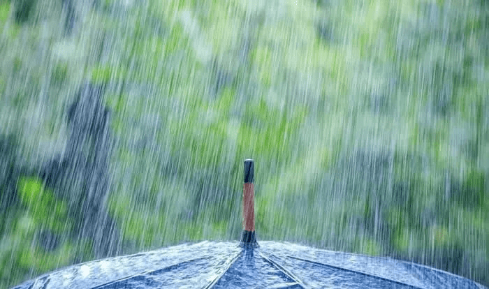 天气早知道丨局部大到暴雨!是因为台风吗?