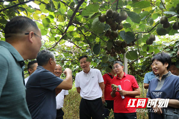 共同下好乡村振兴这盘棋 湖南环境生物职院负责人调研麻阳县弄里村