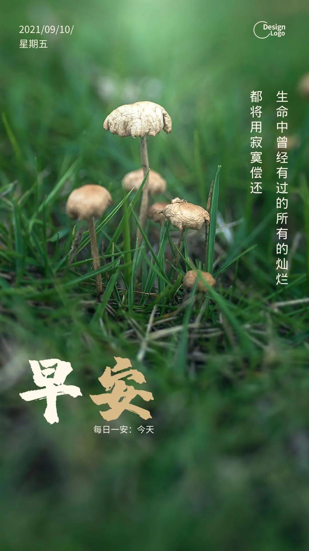 9月10日早安 | 教师节清晨激励人心的励志梦想句子