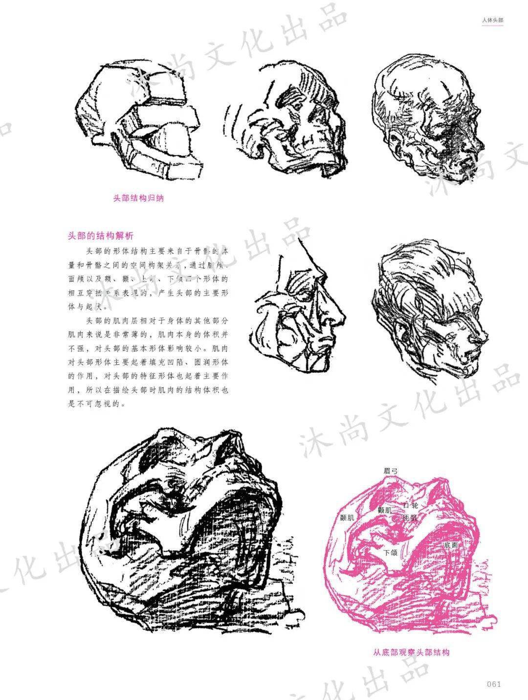 《伯里曼人体结构绘画教程》