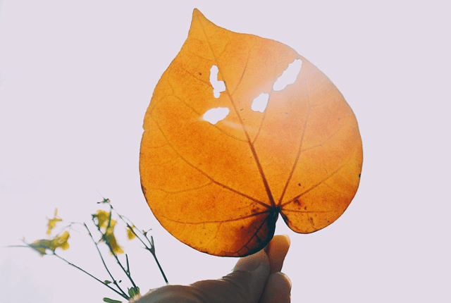 不问过去,不问归期,不问人心