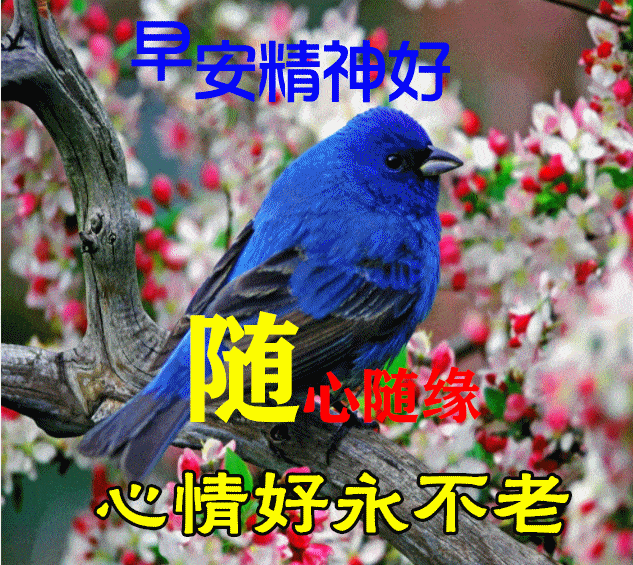 9月14日早上好动态表情图片大全,早晨好动图美图大全