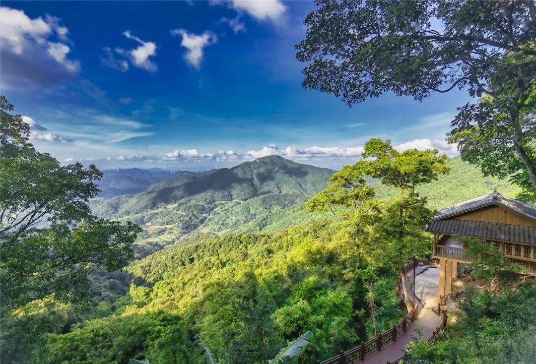 石祖禅茶园还是徒步天堂,沿着步道穿越丛林走到山顶,与山林,石景为伍