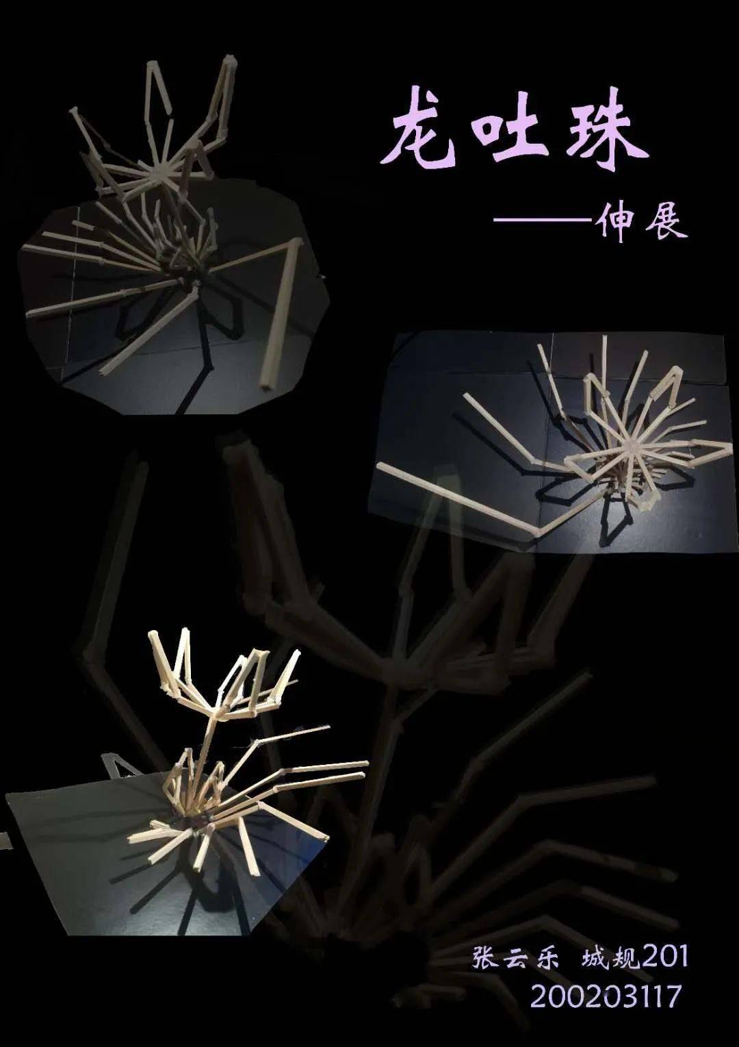 教学丨花间游城规201班学生立体构成与色彩构成课程成果展