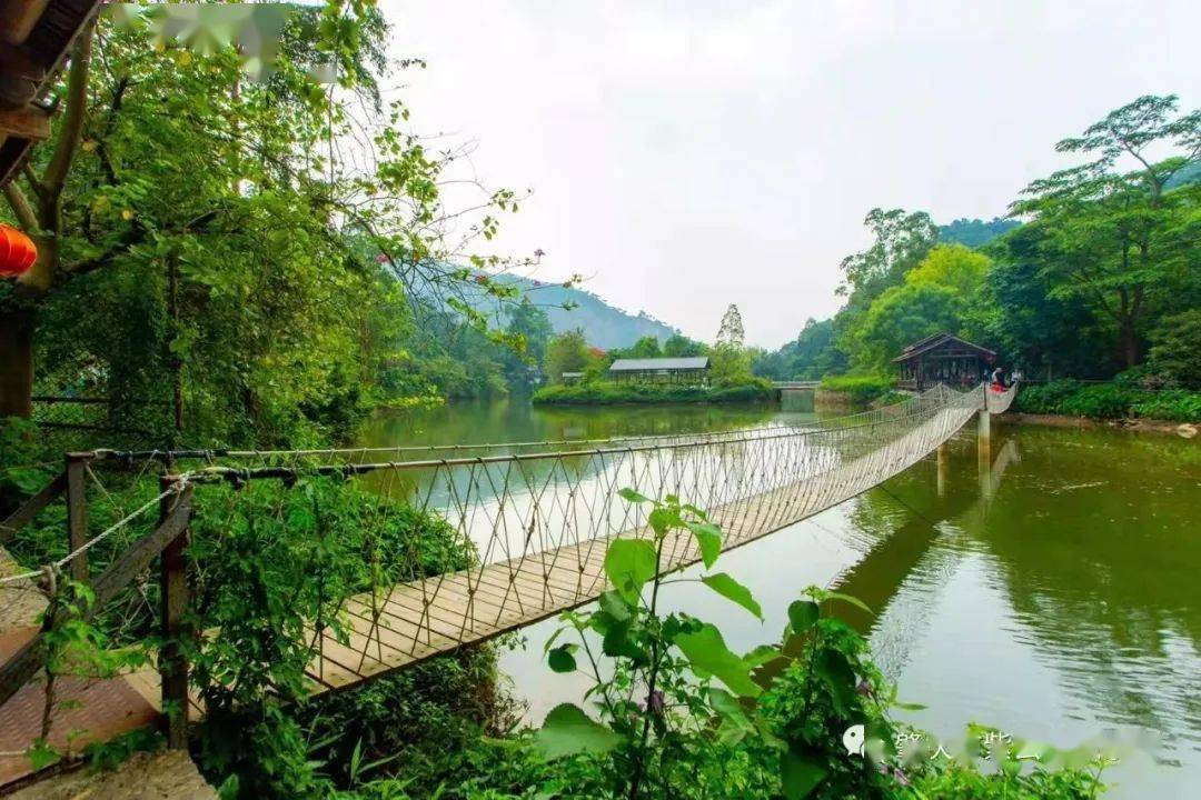 紫云谷 图源:肇庆市紫云谷风景区▲金钟山▲省级非遗项目—金渡花