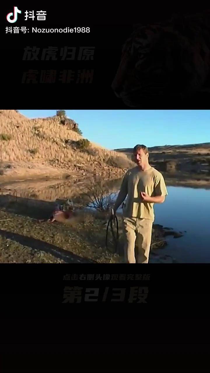 虎啸非洲下集之幼虎首战告捷动物世界纪录片老虎夏日混剪大赛