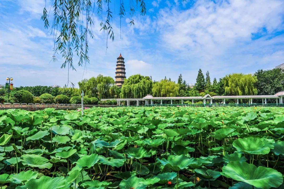 在滕州城东郊,荆河西岸,高耸着一座巍巍古塔.