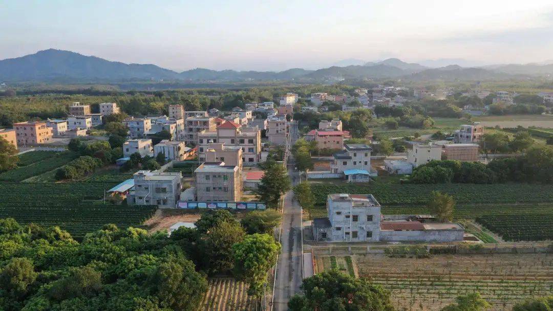 镇金桔村,新圩镇花果村,三和街道全坑村,永湖镇大坑村,镇隆镇长龙村