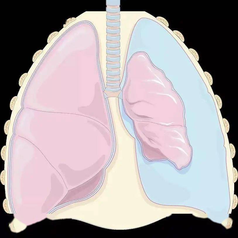 气胸是如何发生的?
