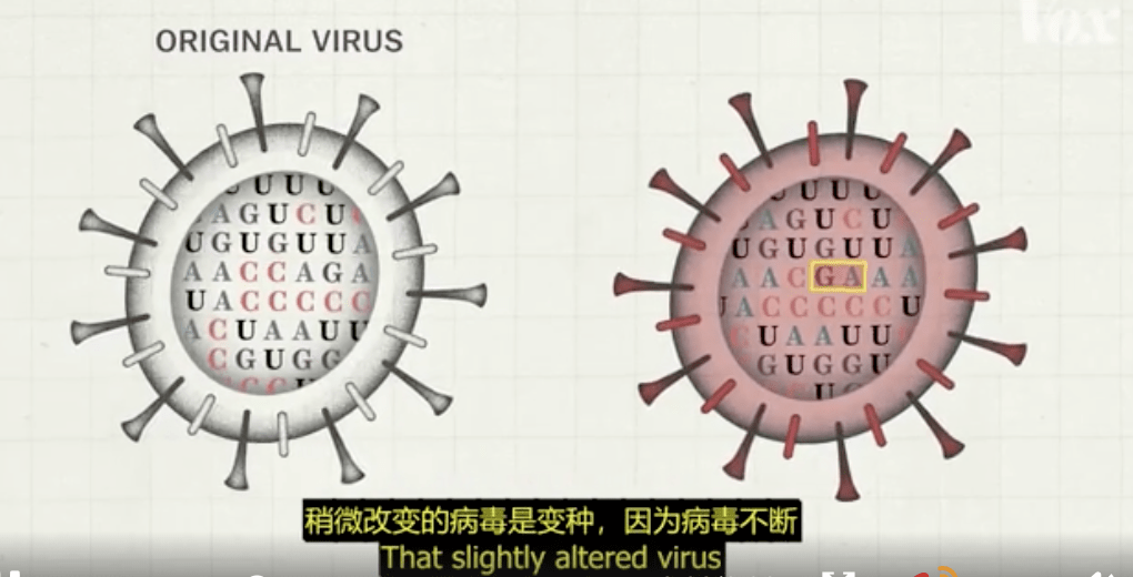 1曝光,横扫37国!最大变异毒株,未命名变种双双出现!