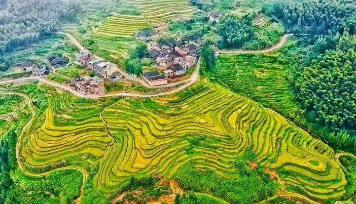 图 彭彭摄 图 福安市人民政府 马洋村是福安市晓阳镇的一个自然村