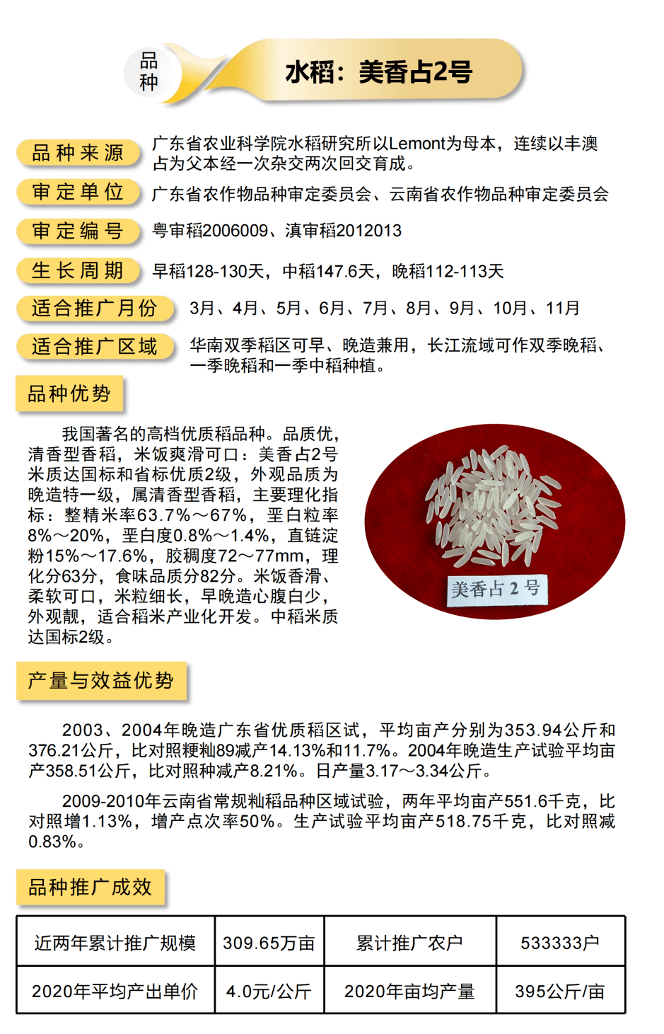 水稻五山丝苗水稻广8优165水稻广8优金占水稻金农丝苗水稻合美占水稻