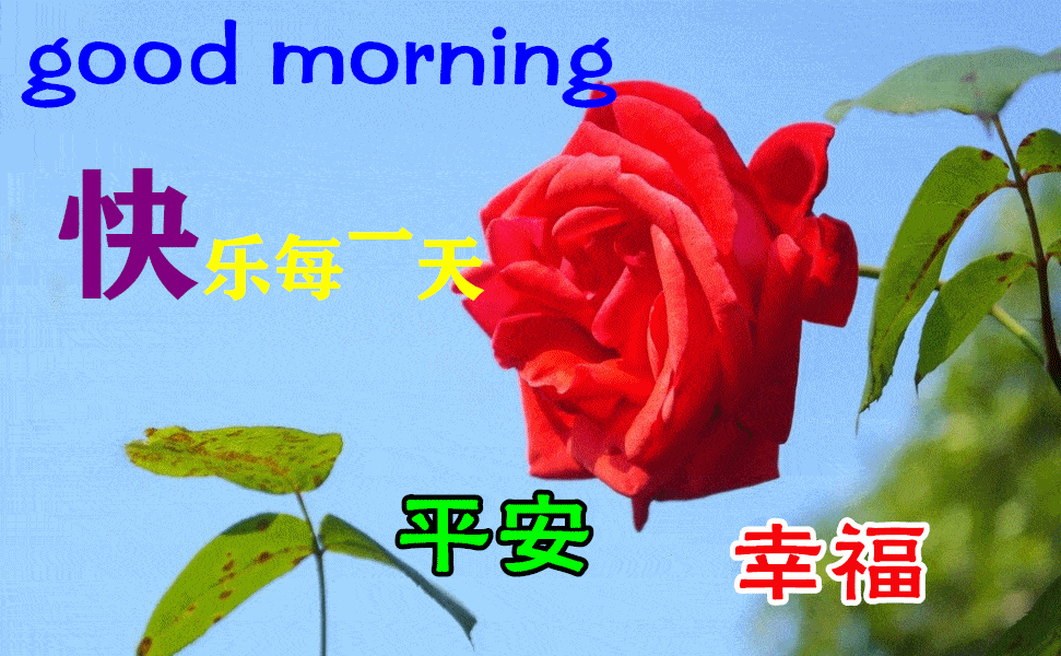 9月28日早上好动态表情图片大全早晨好动图美图大全