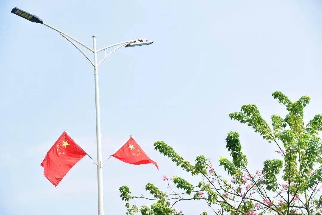 五星红旗迎风飘扬