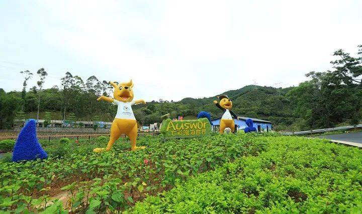 干货分享速收藏增城国庆出游线路来了