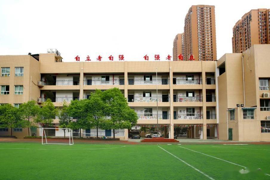 武汉汉阳区德才小学学生,深情表白我的国,挥舞国旗合唱