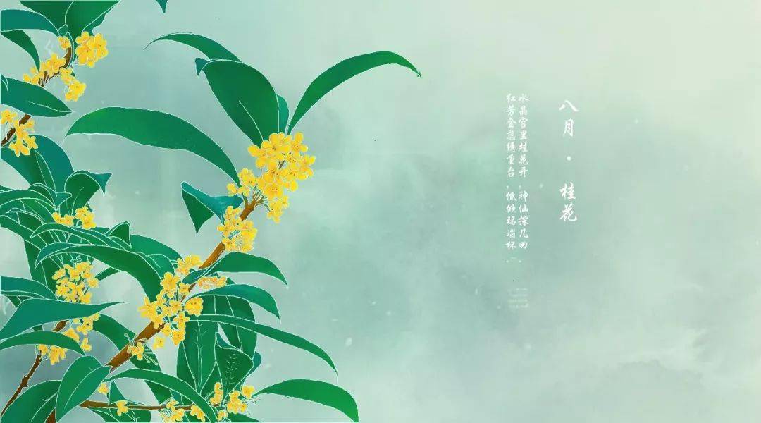 诗中桂,香满秋_桂花