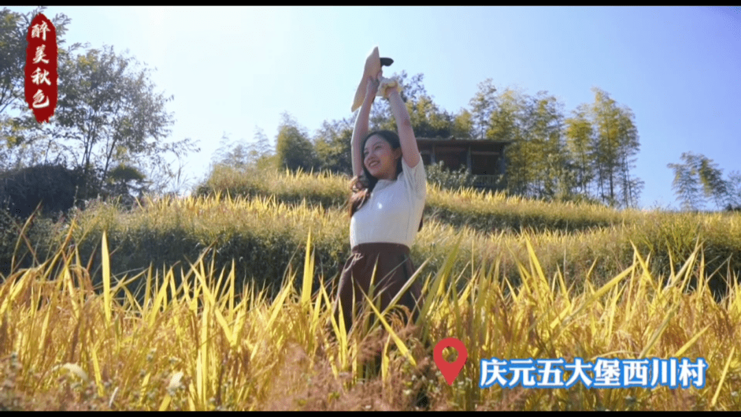 庆元五大堡西川村:这是我们村一年中最美的时刻
