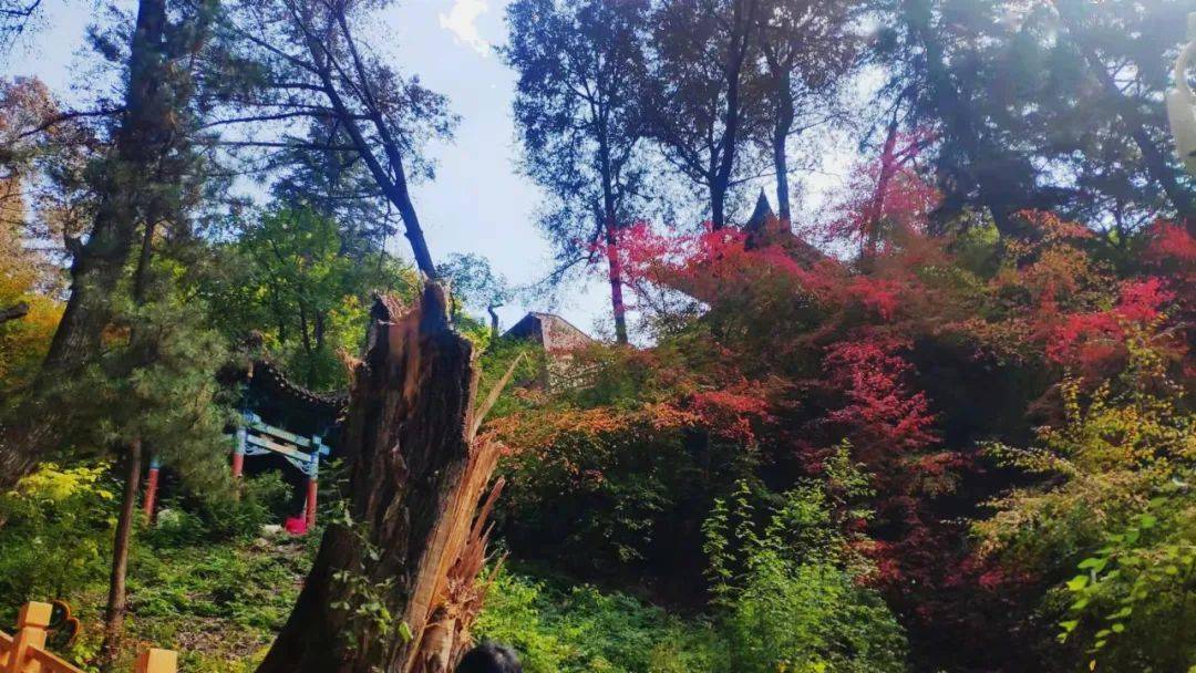 国庆出游 榆中兴隆山景区邀您登山赏红叶 !