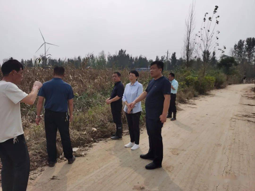 【工作动态】县政协副主席温九真到胡状镇调研指导防汛排涝与秋收工作