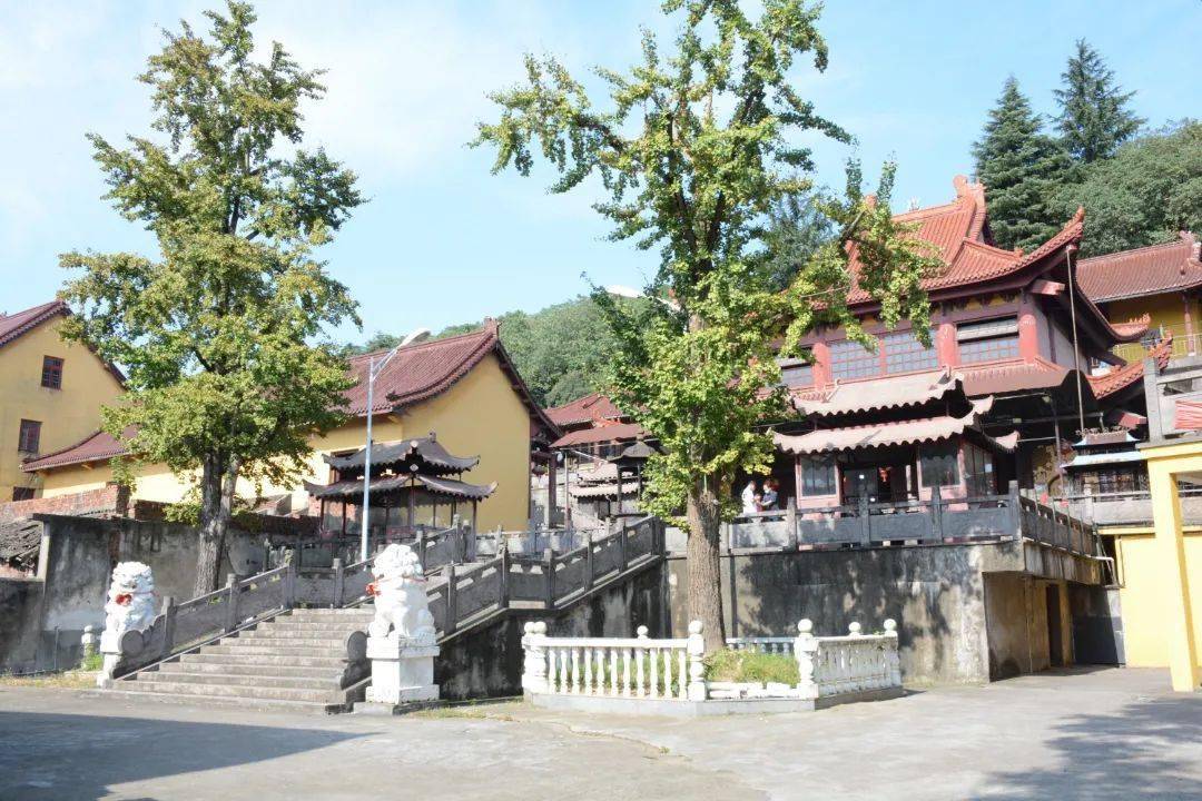 地址:慈溪市老街西路(胜山镇大湾村)一山一寺,不仅是名声远扬的旅游