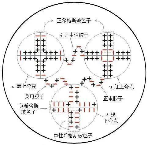 除了夸克组成的强子,还有轻子,轻子的种类和夸克一样,也是六种.