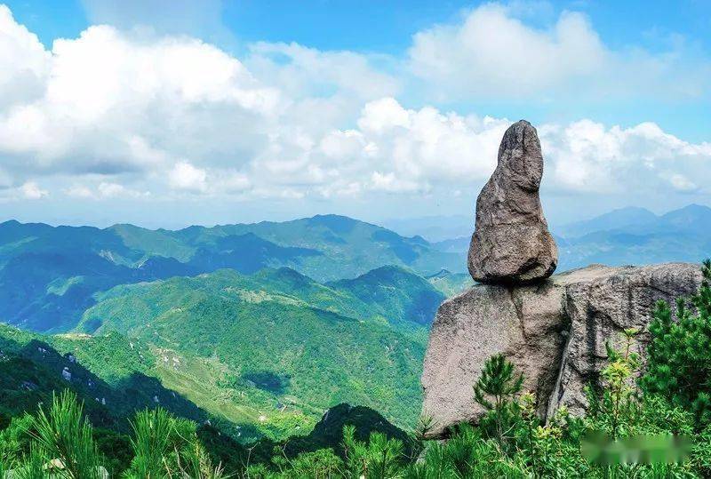 比黄山更近比武夷山更奇绝丽水发现一批奇山怪石