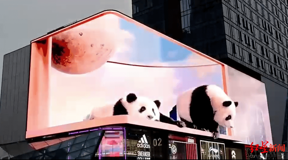 国庆节期间,成都太古里步行街裸眼3d大屏幕中,出现了一对"卖萌"的大