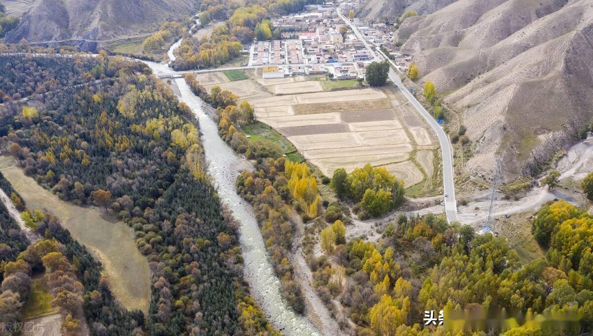 金秋时节,位于祁连山北麓的甘肃省张掖市肃南裕固族自治县皇城镇境内