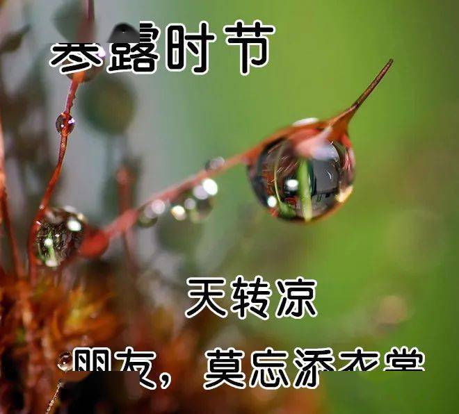 10月8日寒露最漂亮早上好表情图片及早晨好动图美图大全我在等一个