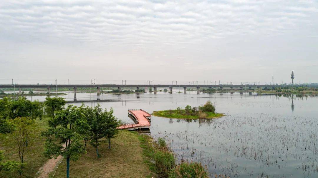 鄂州又一个湿地公园!不少人来打卡_湖区