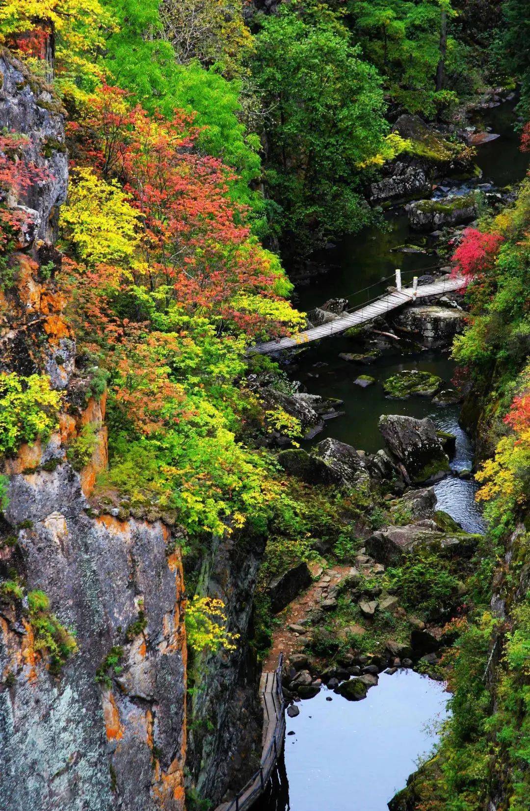 追看五花山之小兴安岭