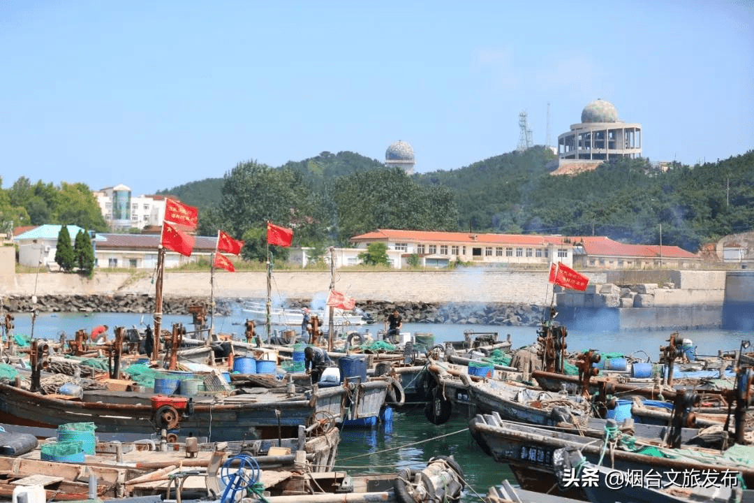 走,我们去烟台吃梭子蟹!_小渔村